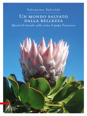 cover image of Un mondo salvato dalla bellezza. Spunti di morale sulle orme di papa Francesco